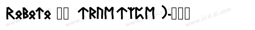 Roboto 粗体 TrueType)字体转换